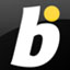 Logo image for Bwin Casino